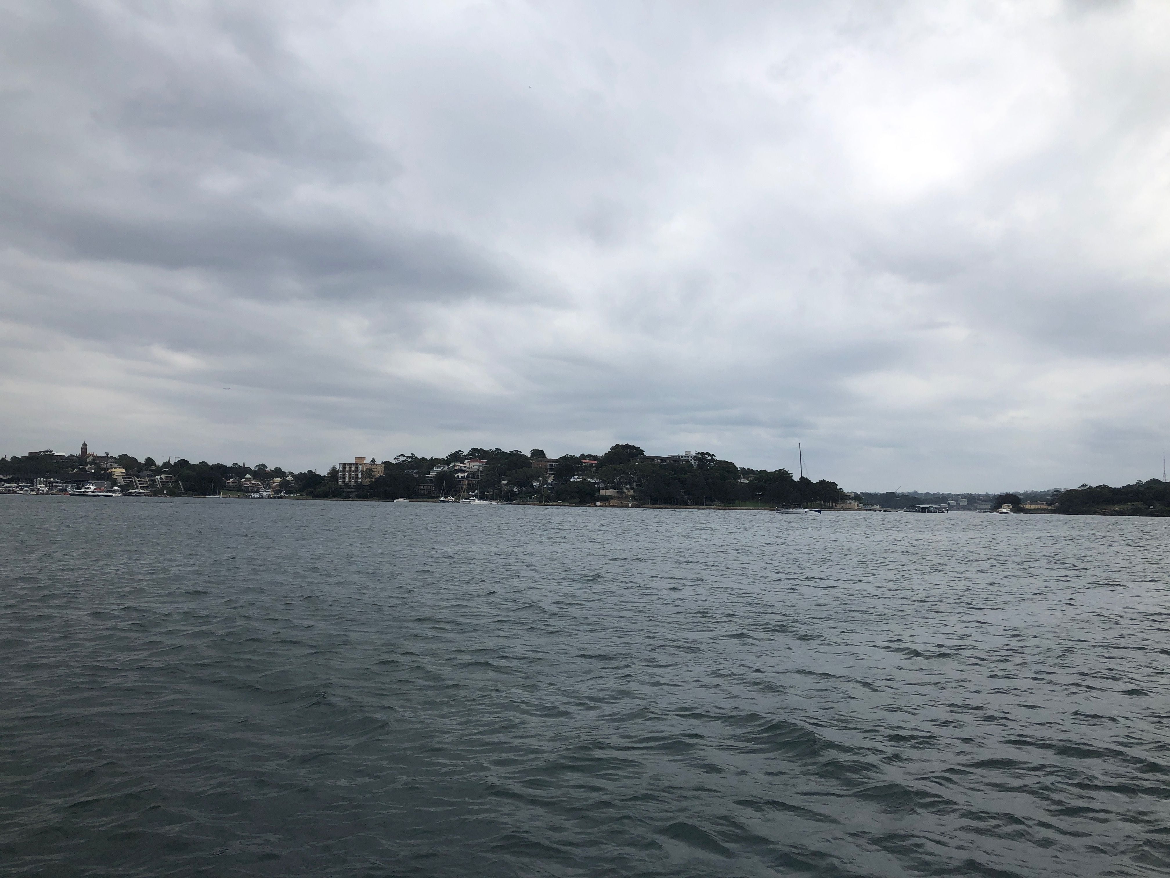Parramatta River cruise & Cockatoo Island March 2019 Image -5c8d87320b87d